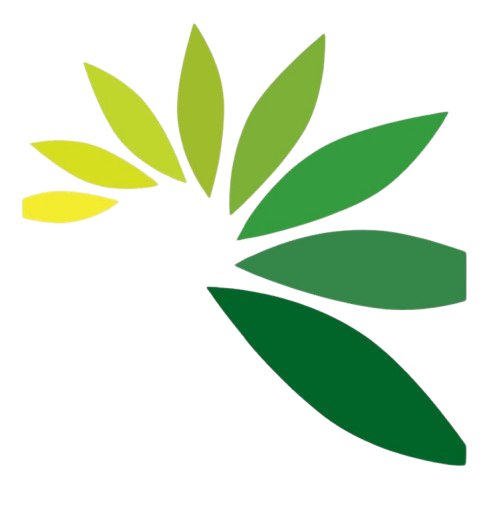 LipoVive logo leaf